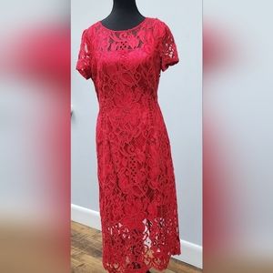Antonio Melani Red Lace Dress Size 8